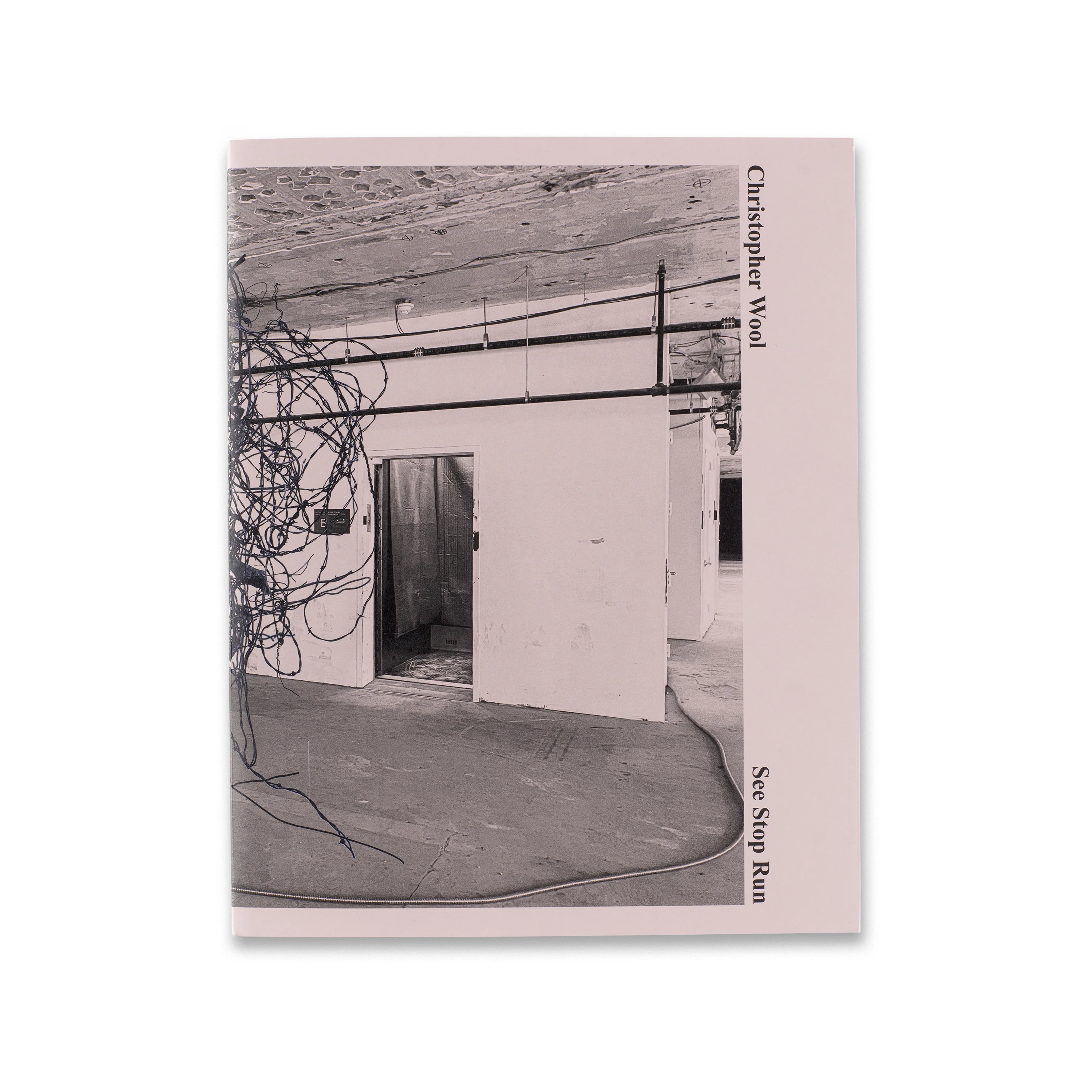 Christopher Wool