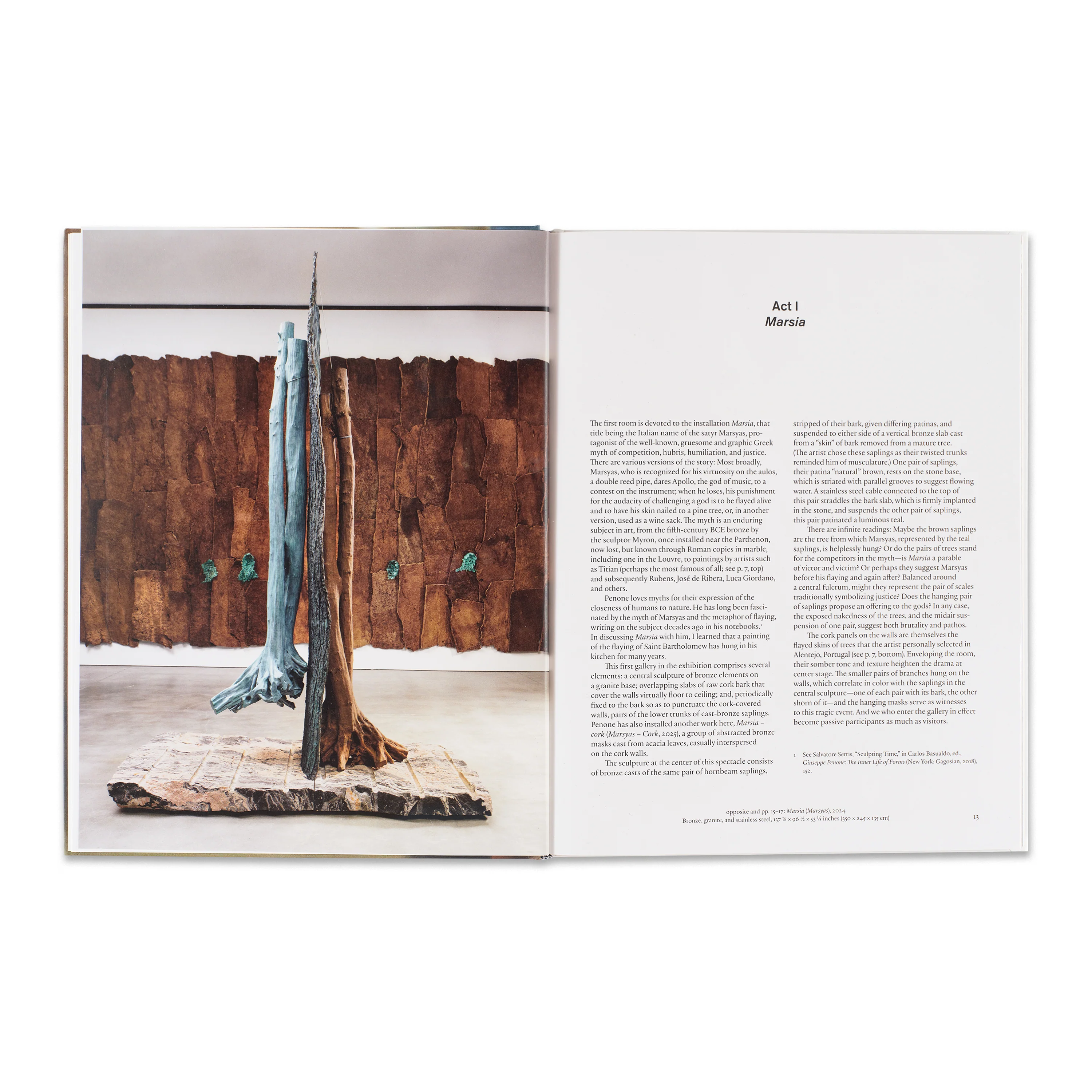 Giuseppe Penone: The Reflection of Bronze - Image 3